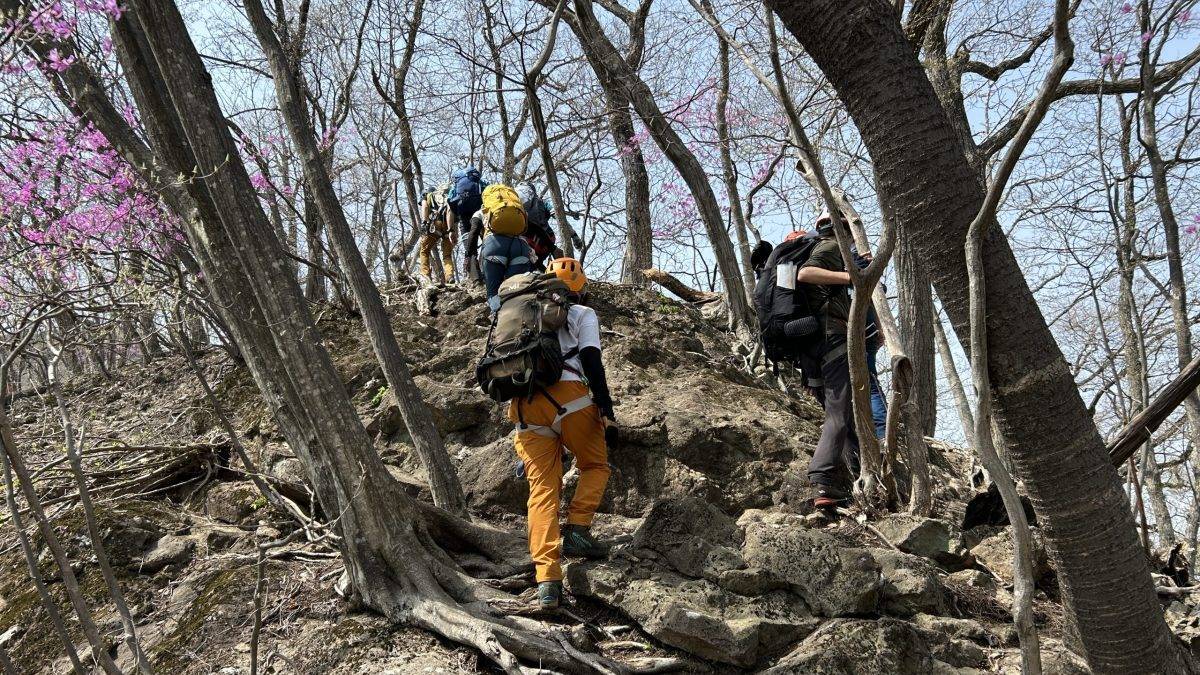 Hikers with backpacks and helmets climb a rocky trail through a bare-branched forest with pink blossoms nearby on a sunny day, uphill ascent.