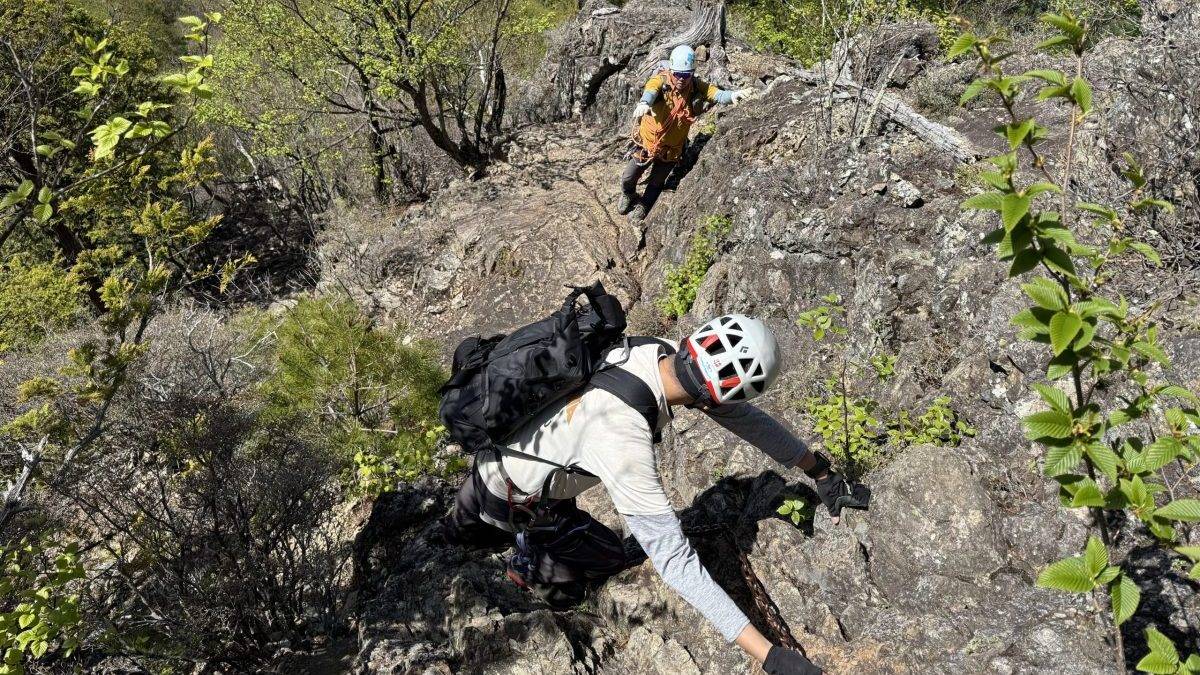 Rock climbers scaling a rocky cliff with safety helmets, harnesses, and ropes among trees on a steep mountainside.