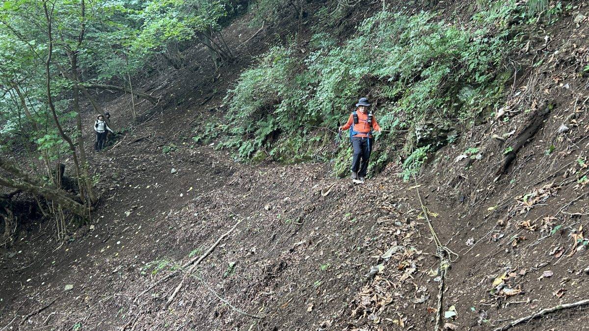 Hiker in an orange jacket with trekking poles leads a forest trail along a steep dirt slope, other hikers visible in the background.