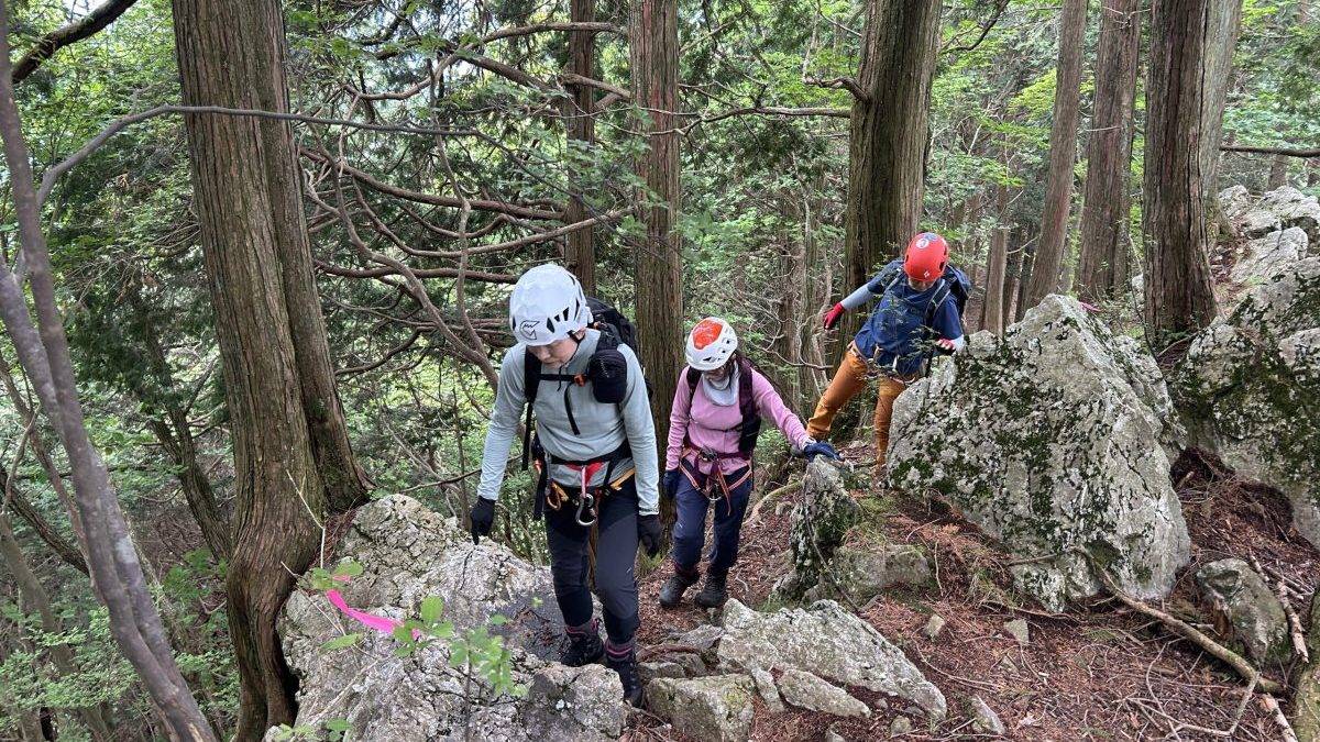 Hikers wearing helmets and backpacks navigate a rocky forest trail among tall trees.