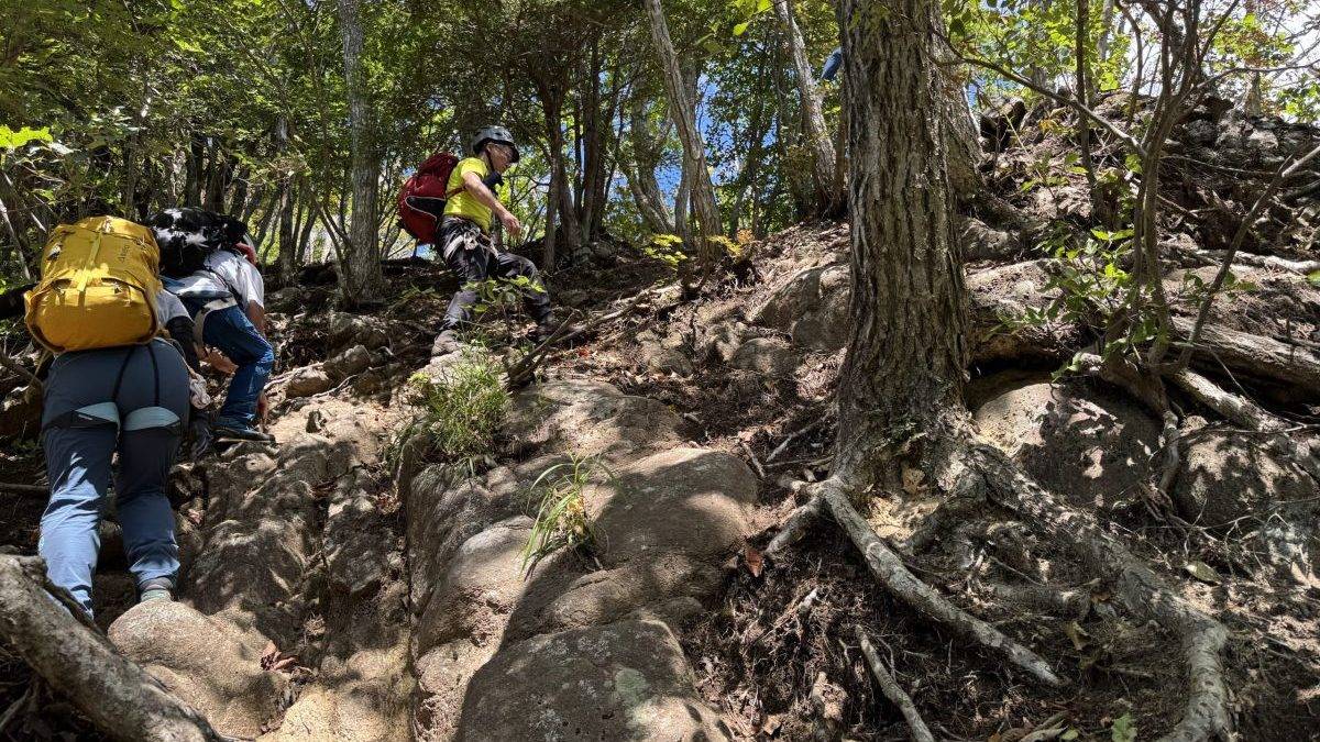 Hikers ascending a rocky, shaded forest trail with strapped backpacks and helmets.