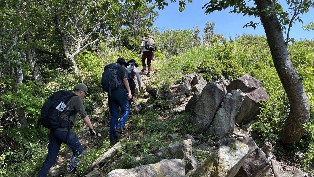 Hikers wearing backpacks climb a rocky forest trail under a bright blue sky, surrounded by green trees and bushes.