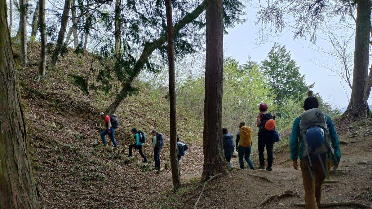 Group of hikers with backpacks walking along a dirt forest trail among trees.