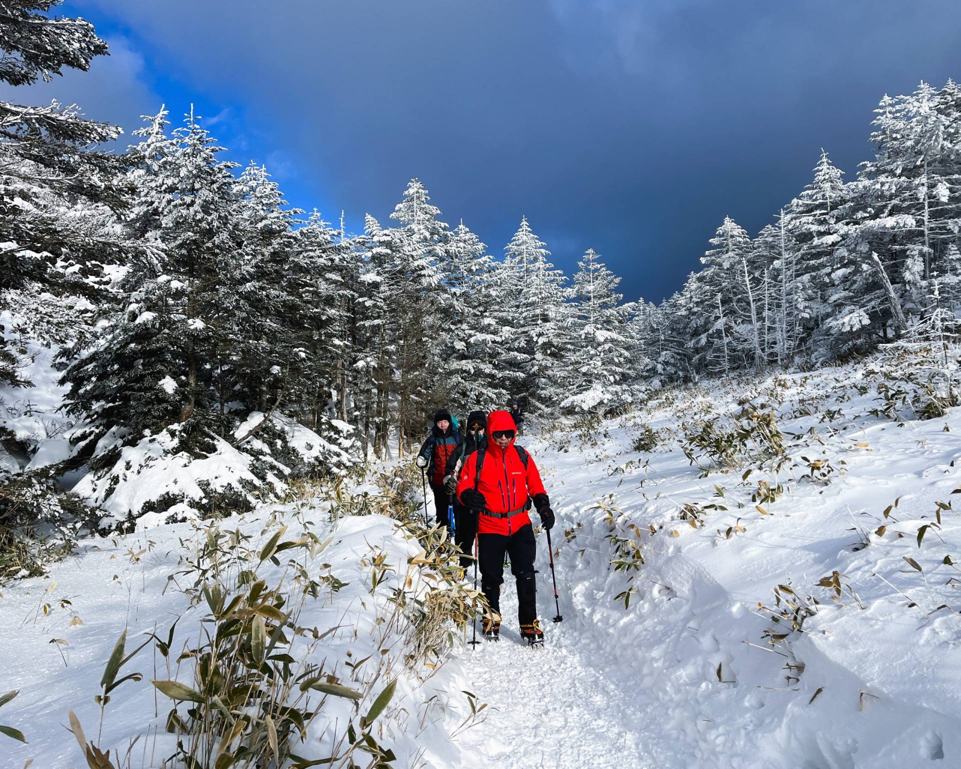 北八ヶ岳の雪の森を歩く参加者