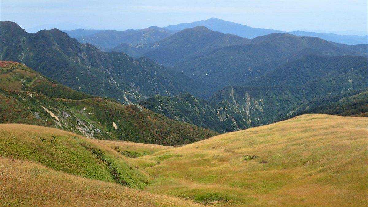 Wide valley of golden grass with rolling hills and distant blue mountains in the distance of the horizon.