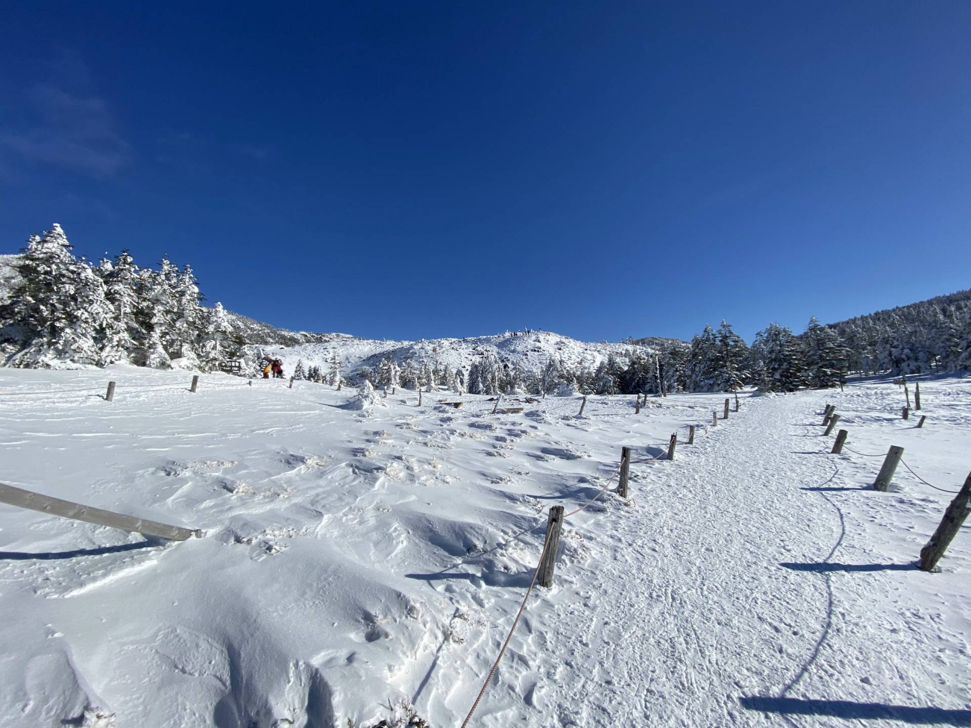雪をまとった北八ヶ岳・坪庭