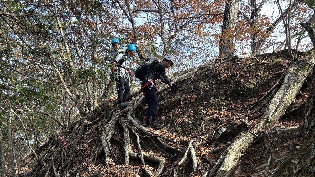 Three climbers wearing helmets and harnesses navigate a root-filled, sloped forest trail in autumn leaves.