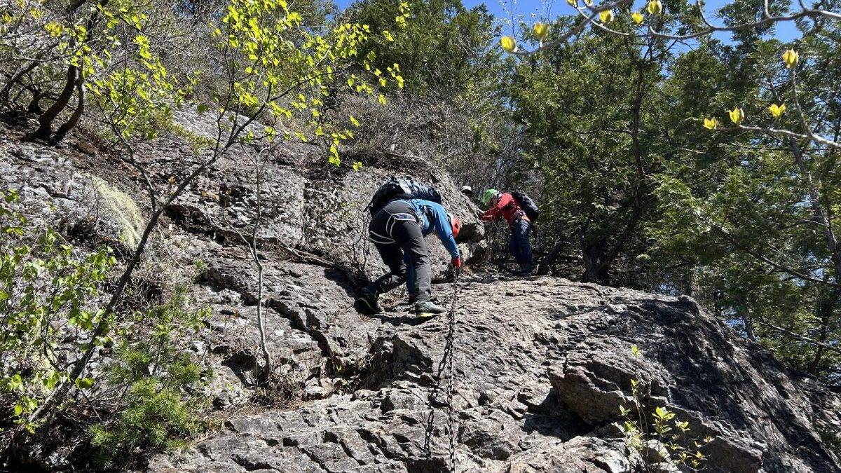 Hikers with backpacks climbing a steep rocky trail among trees under a clear blue sky.