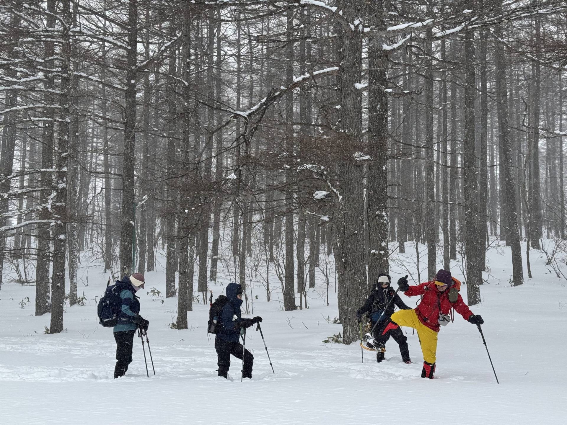 湯ノ丸山で深雪の歩き方を練習する参加者
