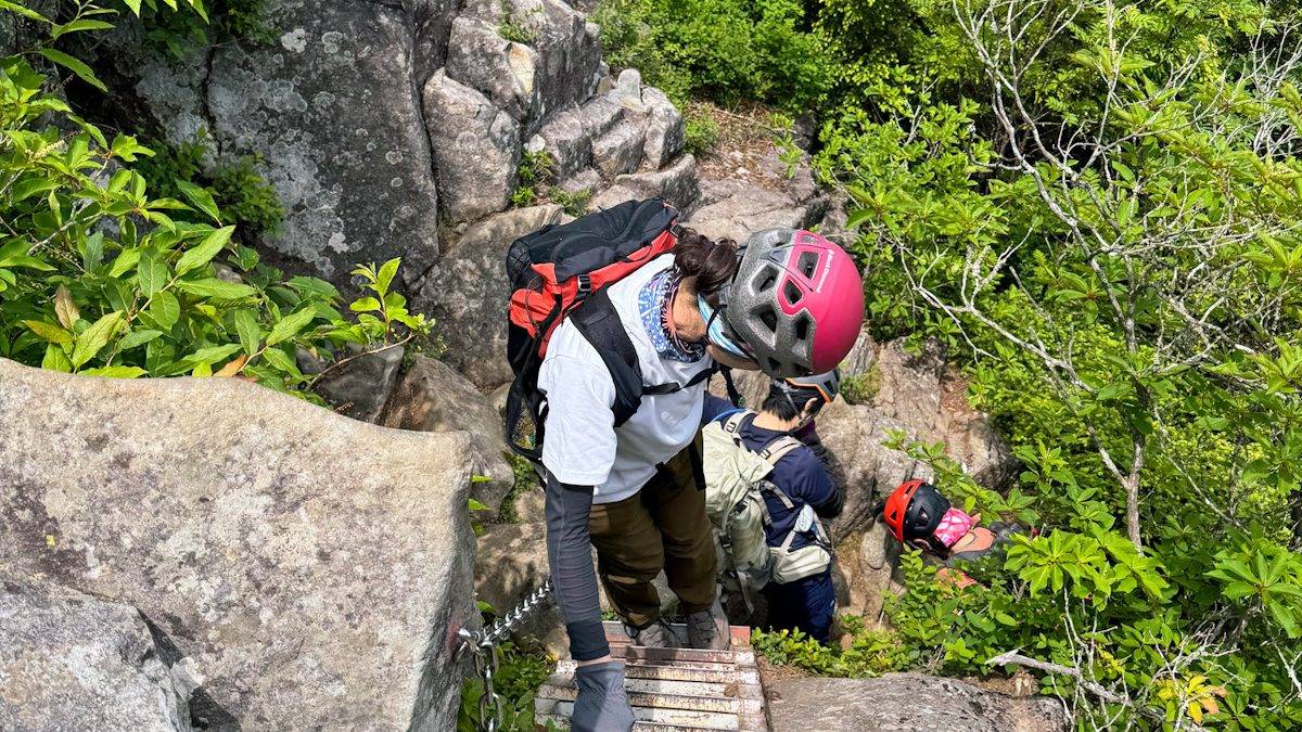 Hikers wearing helmets climb a metal ladder anchored to a rocky cliff, surrounded by green foliage.