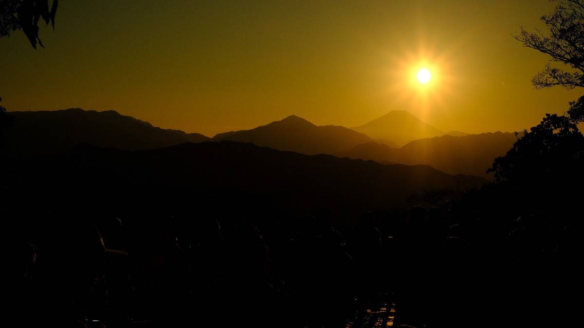 山でリフレッシュ♪自分らしく楽しむフォトと自然観察 晩秋の高尾山とムササビ観察【山ゆる時間】
