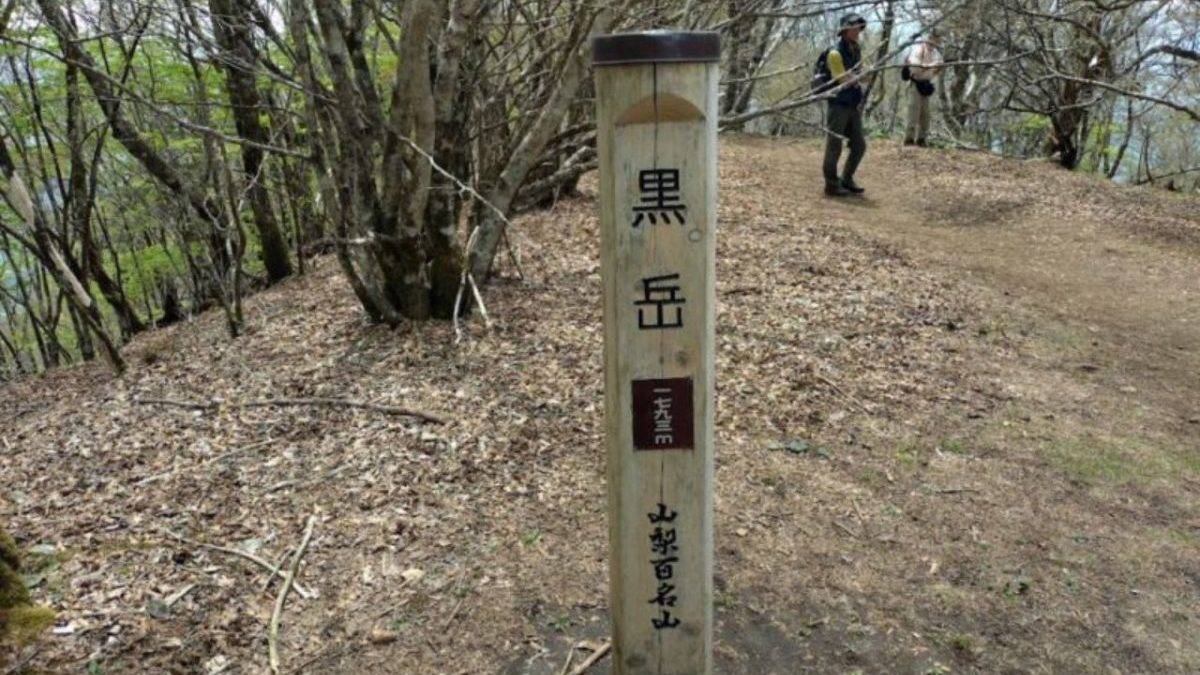 Wooden trail marker with Japanese characters stands on a leaf-strewn forest path; two hikers in the background.