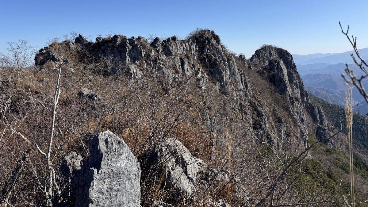 Rugged rocky ridge with leafless shrubs under a clear blue sky and distant mountains in the background.