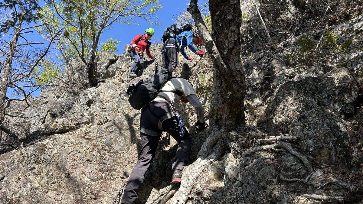 Three climbers in helmets and harnesses ascend a rocky cliff using a rope in a sunny forested setting.