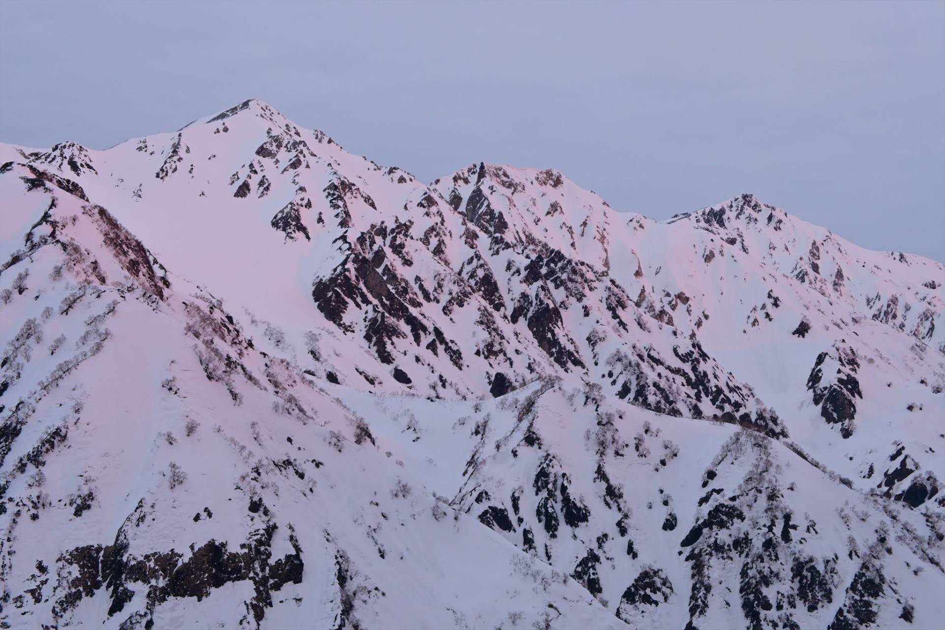 朝の光を受ける唐松岳周辺の雪の峰々