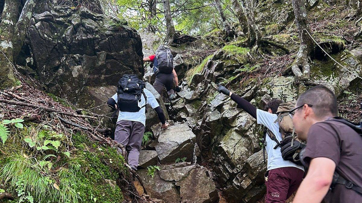 Group of hikers with backpacks ascending a rocky forest trail.
