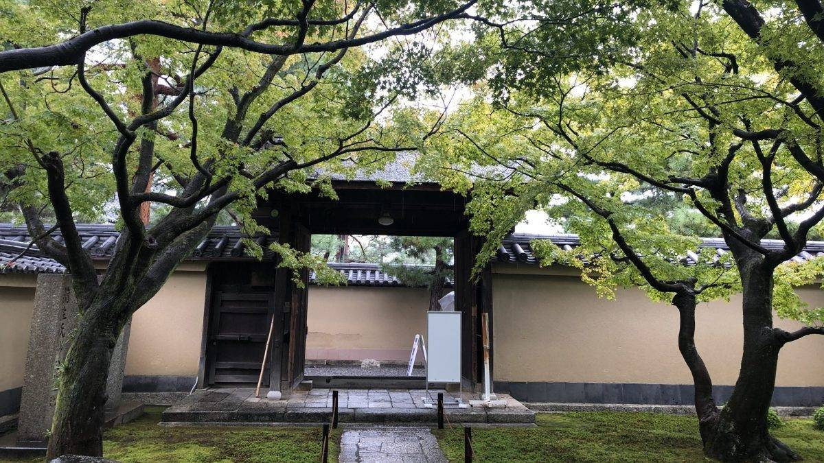 Traditional courtyard with beige walls, a tiled roof, and a wooden gate framed by overhanging green maple branches.