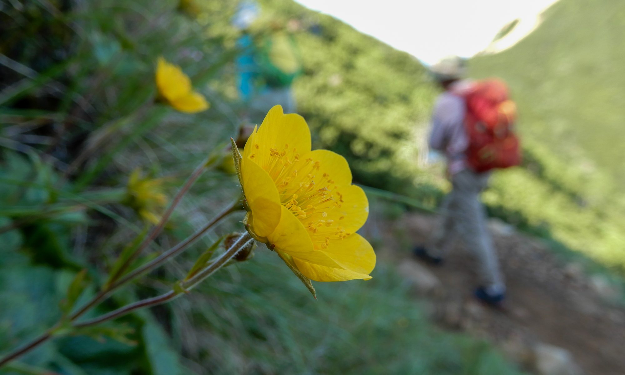 ガイド登山 登山ツアー Funup Nature