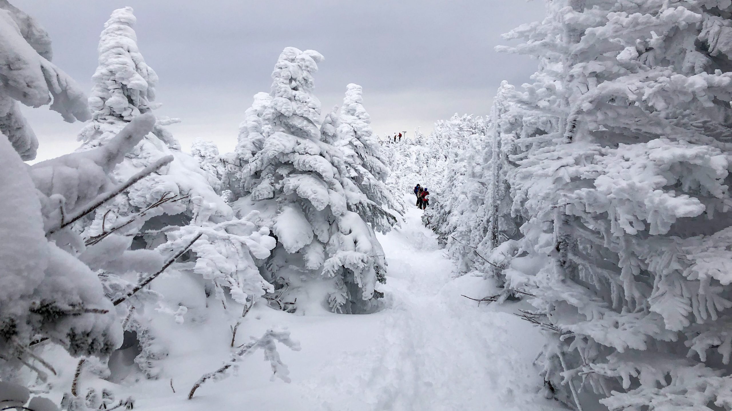 雪山登山教室!根石岳山荘に泊まる① 八ヶ岳/天狗岳 2days(雪山の稜線へチャレンジ)