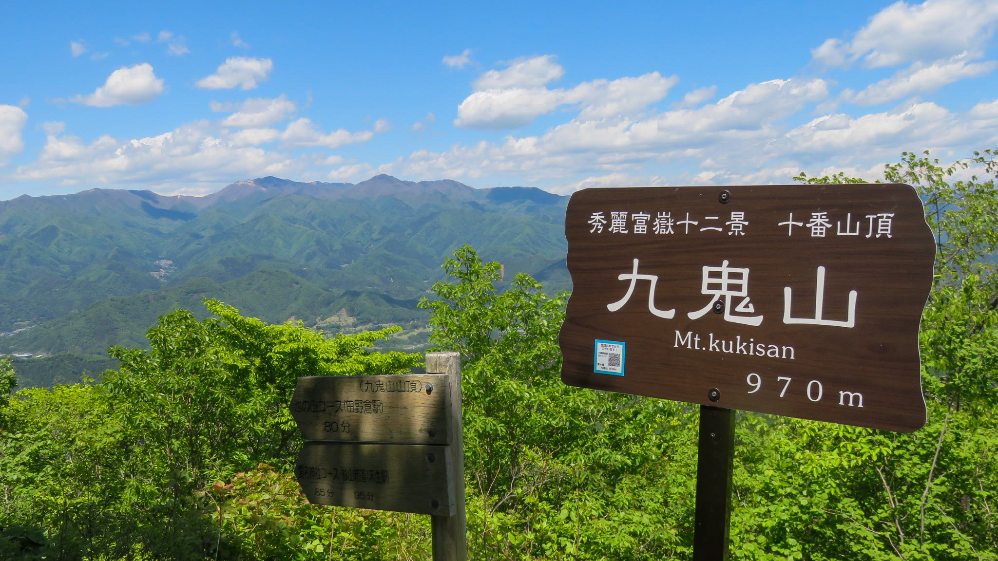 武者小路実篤 生誕125周年記念 富士山 額装 （武者小路実篤 生誕