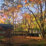 Autumn forest courtyard with colorful maple leaves, stone wall, and a traditional building visible through trees.