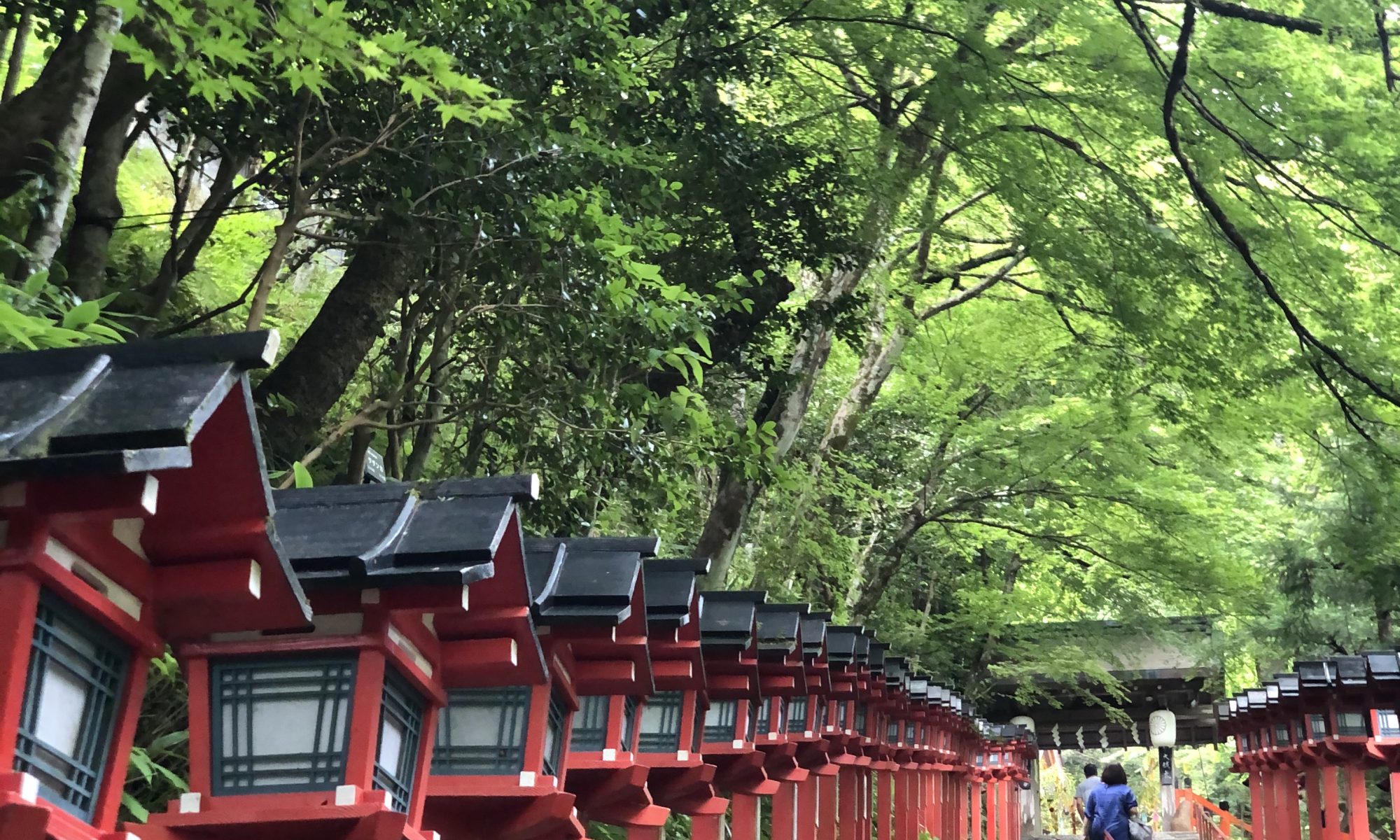 Red wooden lanterns line a stone staircase in a lush green garden, beneath overhanging trees at a temple path