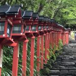 Red wooden lanterns line a stone staircase in a lush green garden, beneath overhanging trees at a temple path