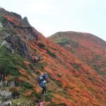 Hikers climbing a rocky mountain ridge covered in orange and red autumn foliage on a clear day.