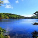 Calm blue lake edged by green trees under a bright sky.