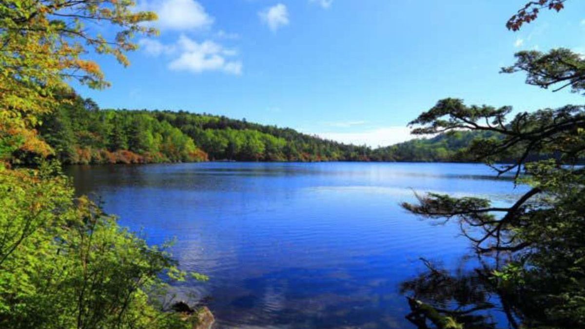 Calm blue lake edged by green trees under a bright sky.