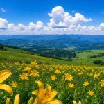 Field of yellow lilies on rolling green hills under a blue sky with fluffy white clouds, distant mountains in the background.