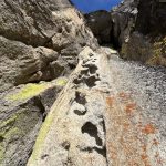 Narrow rocky canyon with high cliff walls, a sunlit groove in the center and patches of green lichen under a blue skyEXTREME-width trail through jagged granite canyon with lichens and a clear sky