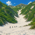 Group of hikers ascending a snow-filled mountain valley flanked by green forested slopes under a bright blue sky.