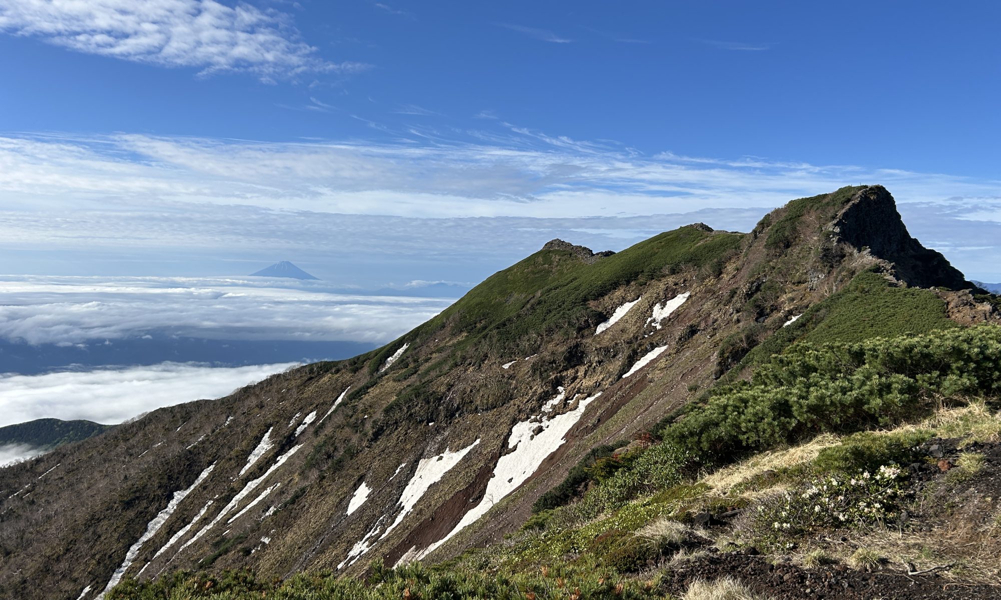 八ヶ岳の稜線越しに広がる雲海と富士山