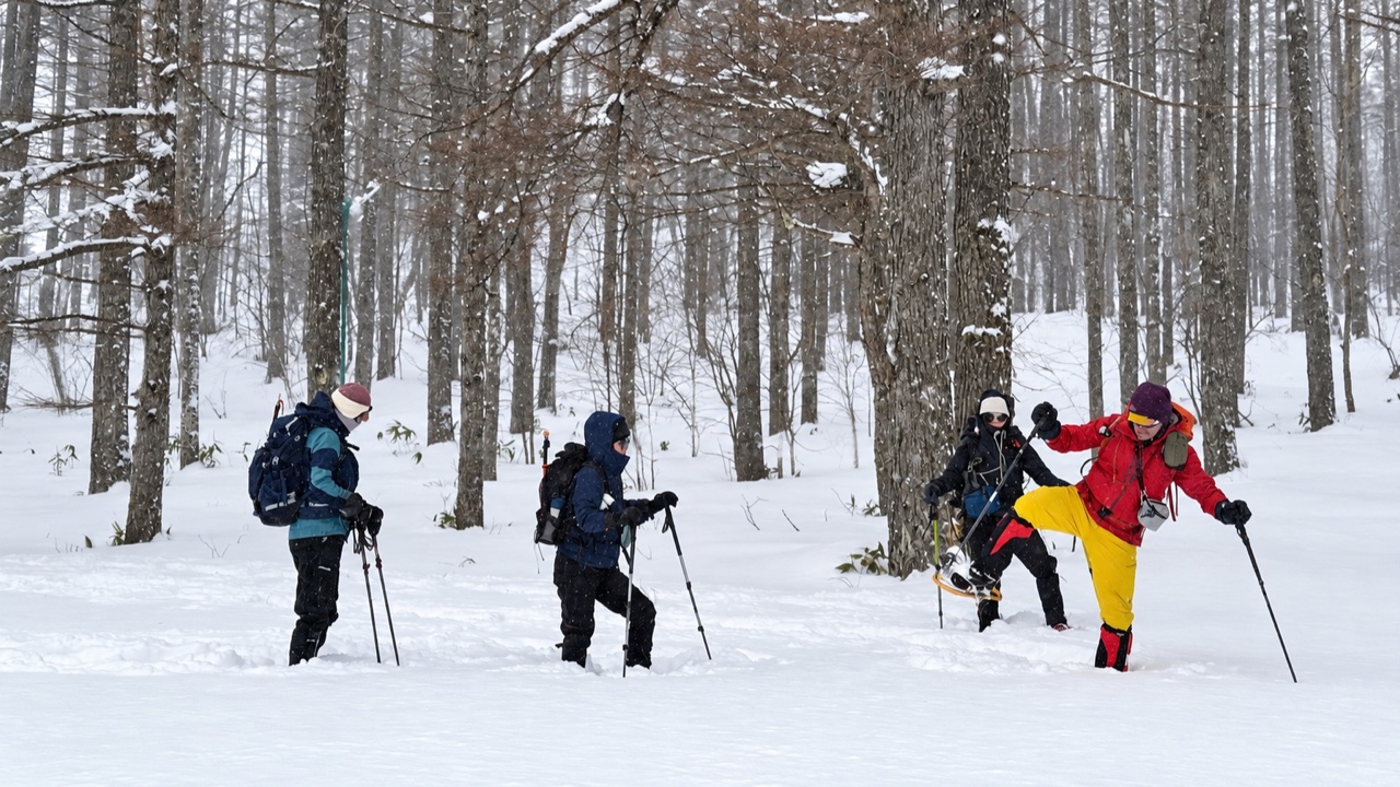 湯ノ丸山で深雪の歩き方を練習する参加者