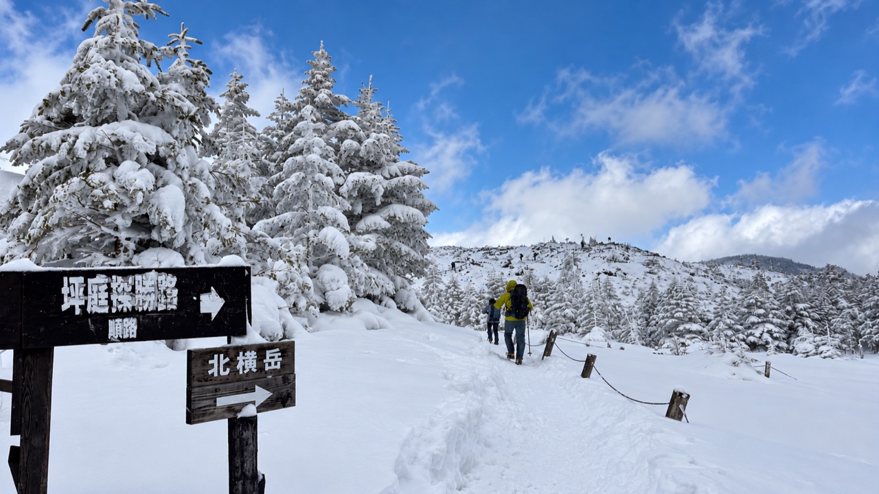 北八ヶ岳・坪庭の雪をまとった木々と登山道
