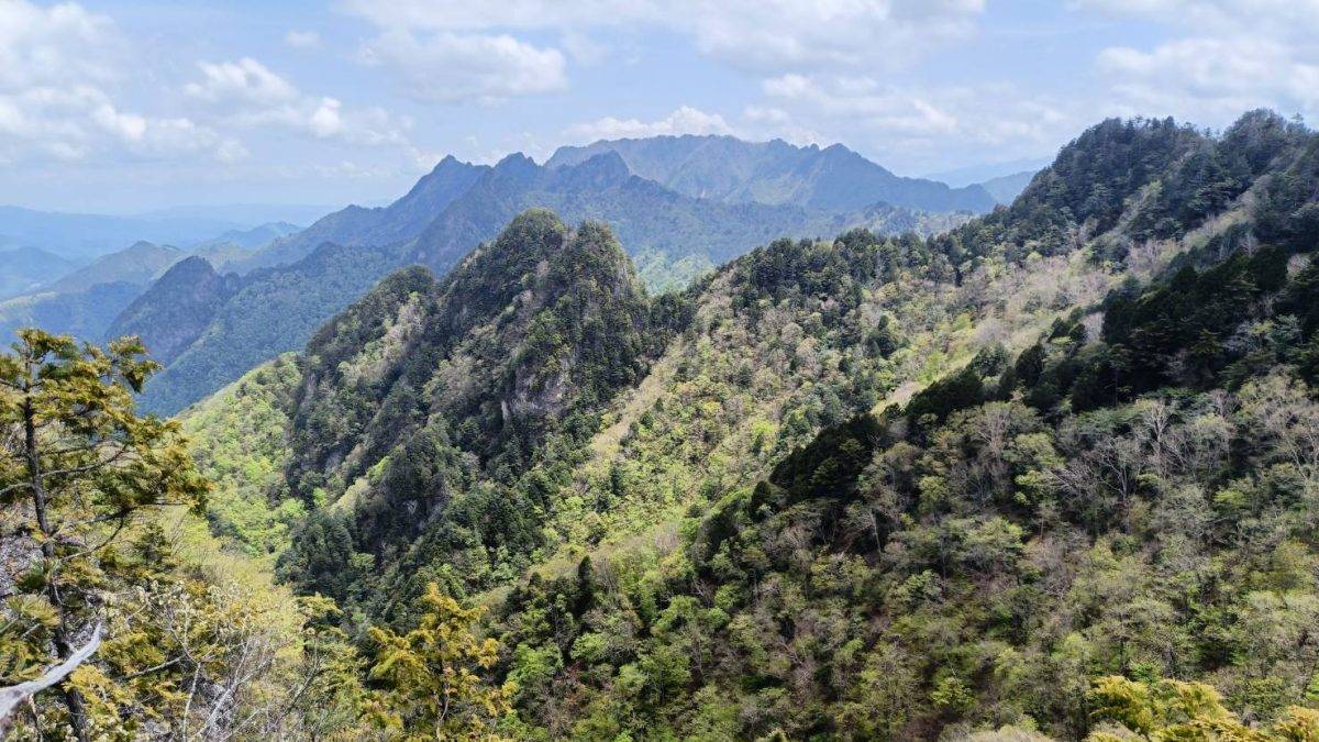 Vast forested mountain range with green ridges under a partly cloudy blue sky.