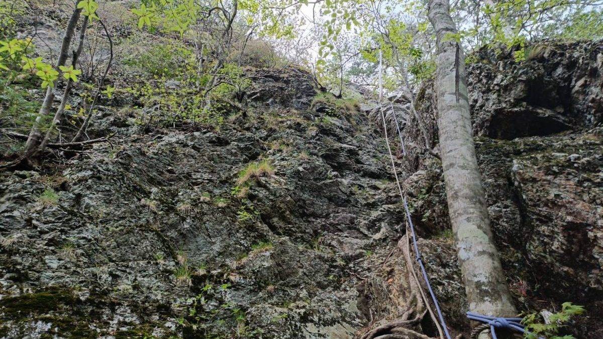 Rugged rock cliff with blue climbing rope tied to a tree in a leafy forest.