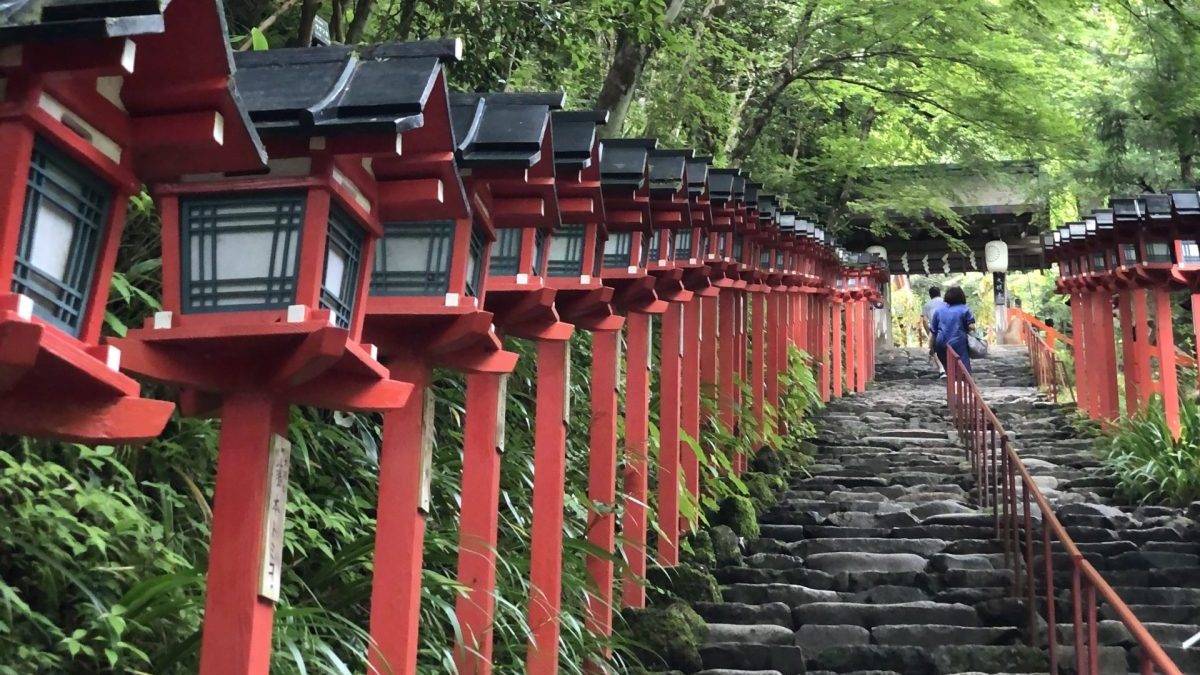 Red wooden lanterns line a stone staircase in a lush green garden, beneath overhanging trees at a temple path