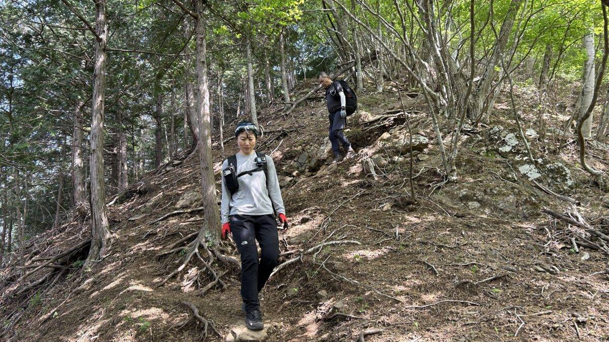 Two hikers on a rocky forest trail, surrounded by dense trees and exposed roots on a steep slope.]','Two hikers walking down a dirt path in a dense forest, one with a backpack and gloves.
