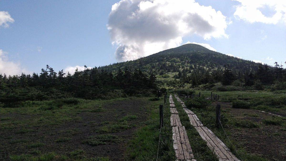 Wooden boardwalk runs through a grassy meadow toward a forested hill under a blue sky with white clouds.