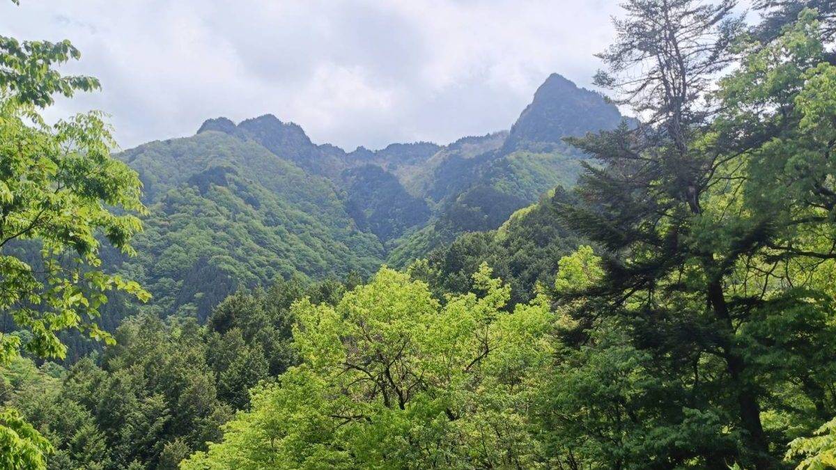 Densely forested mountain range with green foliage under a cloudy sky viewed from a lush foreground.